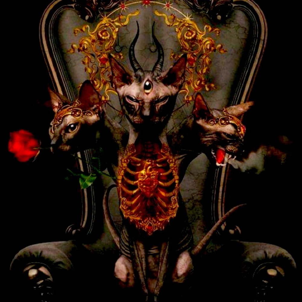 Meet your Posher, Earlene💫